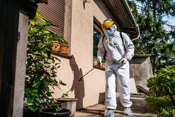 Best Rat Extermination Near Me  in The Homesteads, TX