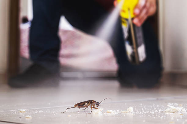 Best Cockroach Control Services  in The Homesteads, TX
