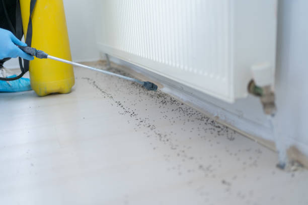 Best Commercial Pest Control Services  in The Homesteads, TX